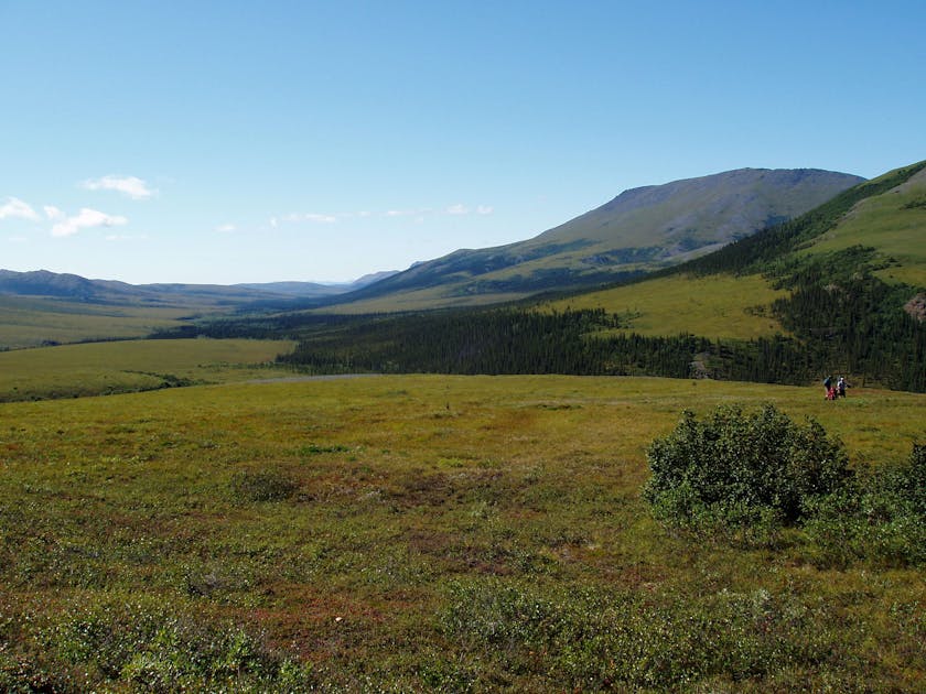 Interior AlaskaYukon Lowland Taiga One Earth